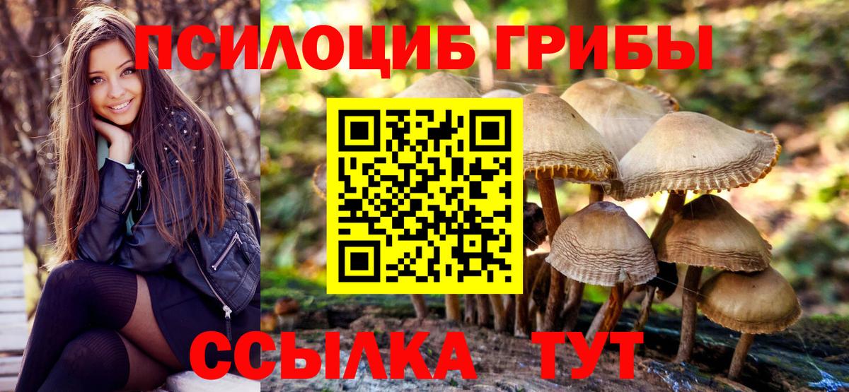 Черкесск  Псилоцибиновые грибы MAGIC MUSHROOMS  Псилоцибиновые грибы Cubensis  Вход с VPN 